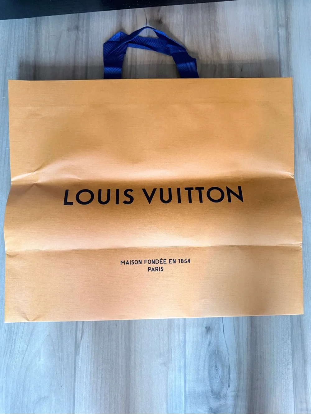 Louis Vuitton Paper Bag